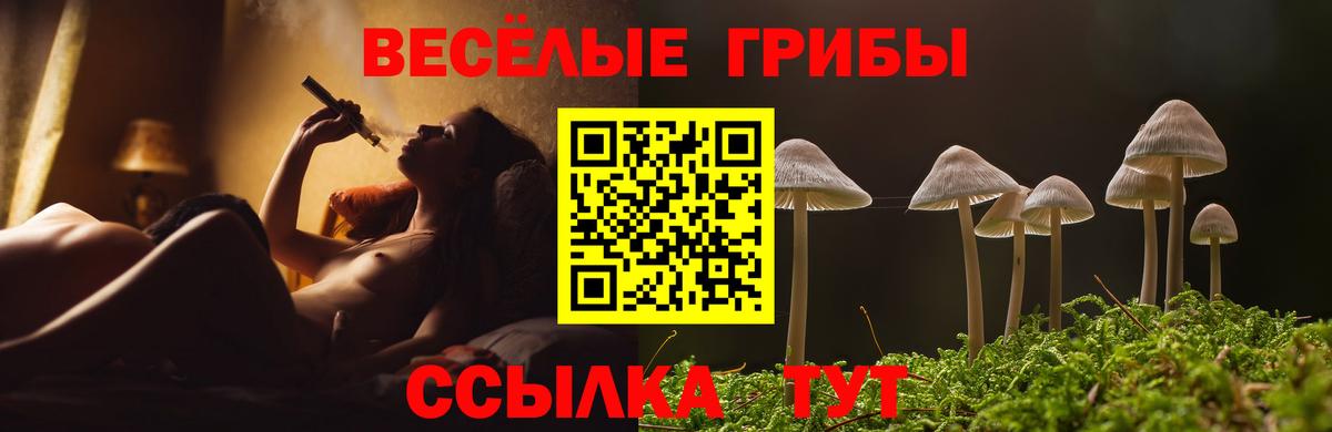 где продают наркотики  Галлюциногенные грибы MAGIC MUSHROOMS  Вход с VPN  Джанкой 